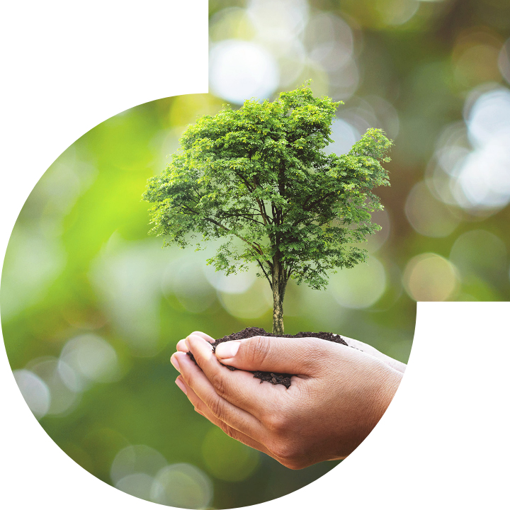 关怀人类、文化、环境与社会